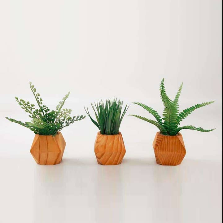 Conjunto de 3 samambaias e grama em vasos geométricos de meados do século - 7” por atacado de TF Publishing - Paper Goods