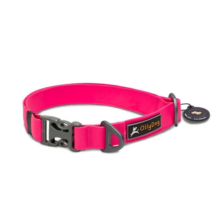 OllyDog - Wholesale Pet Collar - Dog - Tilden Waterproof Collar3