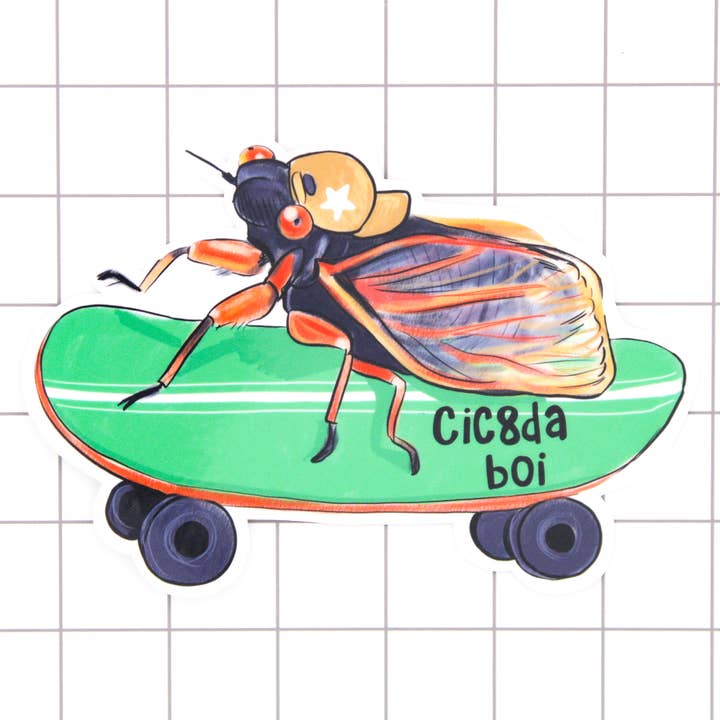 Cic8da Boi Vinyl Sticker for wholesale by Amy Hartelust Art and Illustration