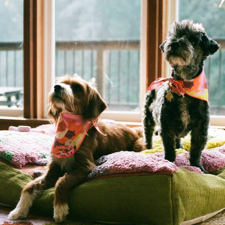 ProbaHome - Wholesale Pet Bed - Cat/Dog - "Sam's" Bed8