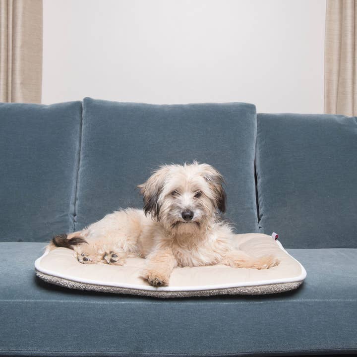 Dog Gone Smart - Wholesale Pet Bed - Dog - Canvas Sleeper Cushion2