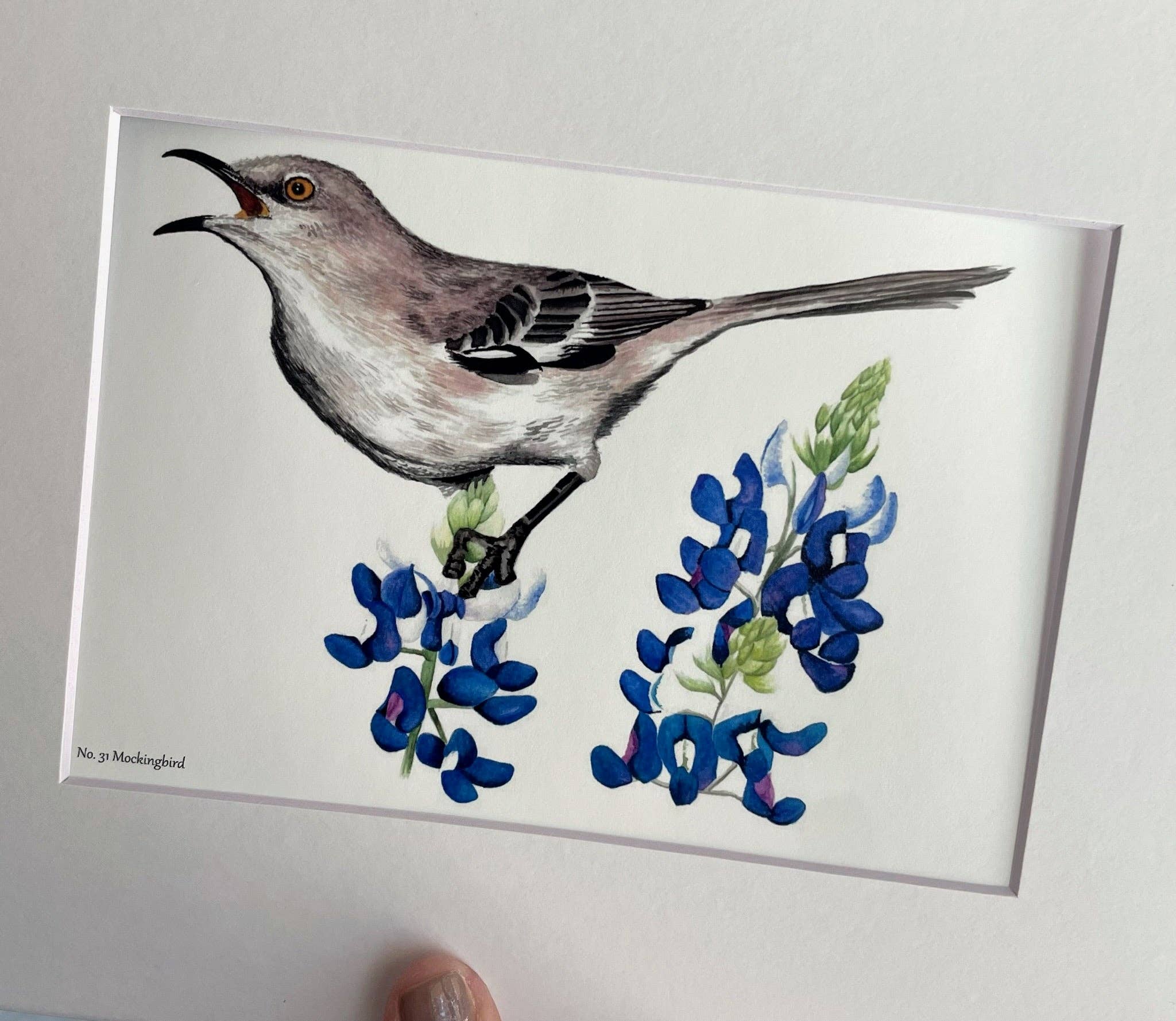 Bird Art by KB - Wholesale Art Print - Mockingbird - Giclee Print0