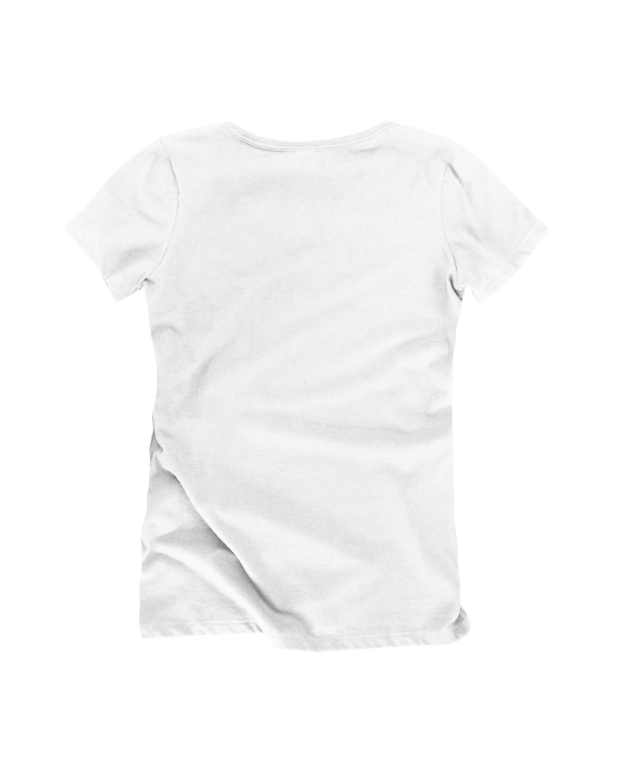 GOEX Apparel - Wholesale T-Shirt - Women's - Ladies Premium Cotton V-Neck Tee2