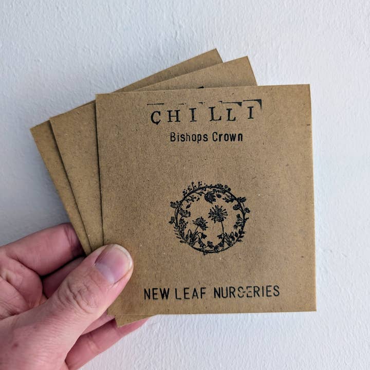 Chilli 'Bishops Crown' Seeds for wholesale by New Leaf Nurseries