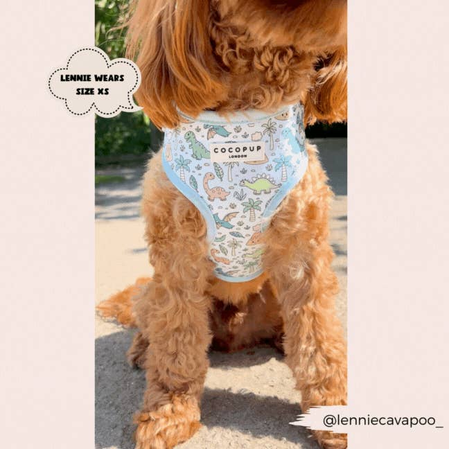Cocopup London - Venta al por mayor Arnés - Perros - Arnés ajustable para cuello Dinopaws22