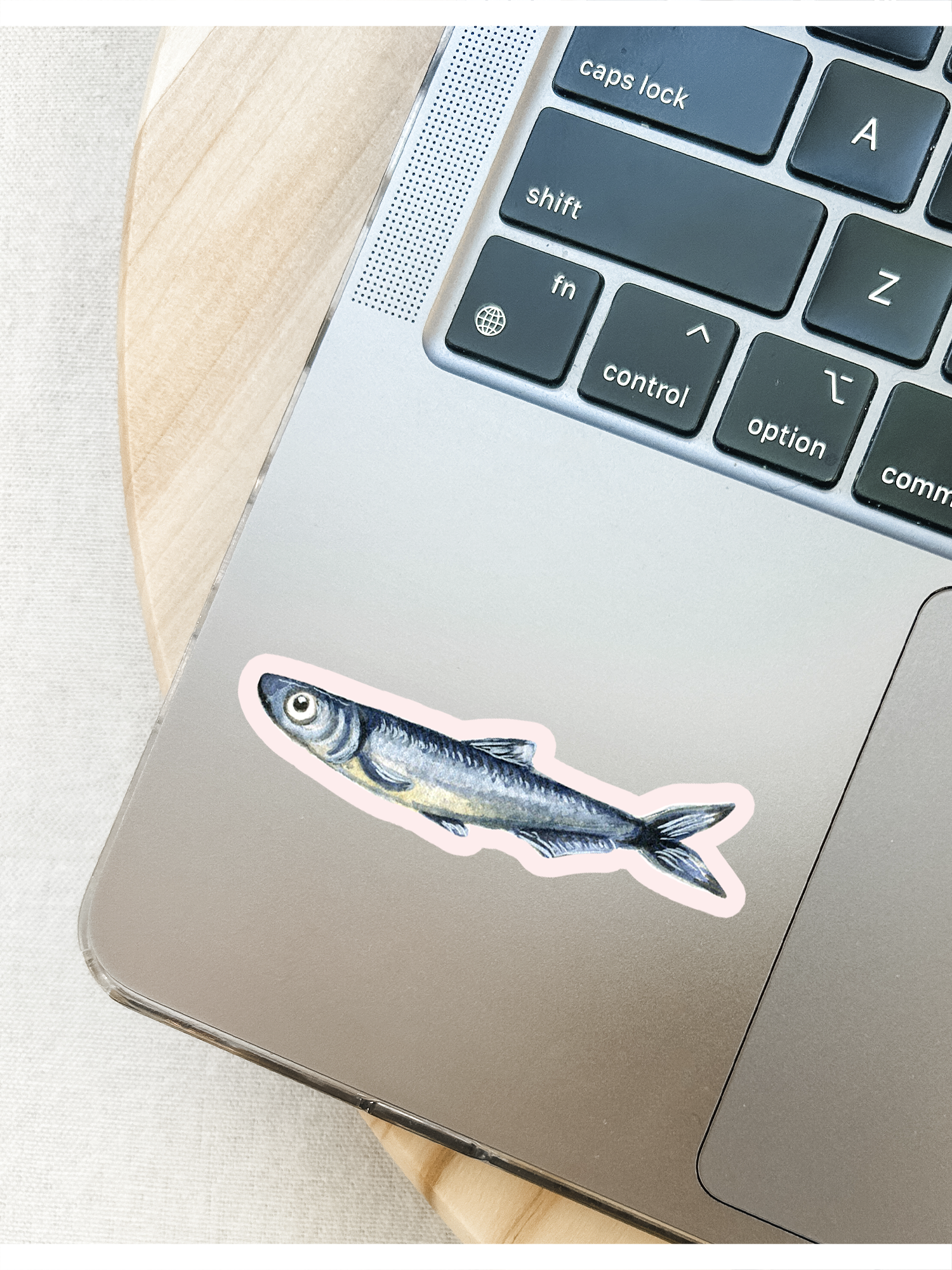 Studio Miller - Vente Autocollant - Autocollant en vinyle aquarelle poisson sardine anchois Italie été3