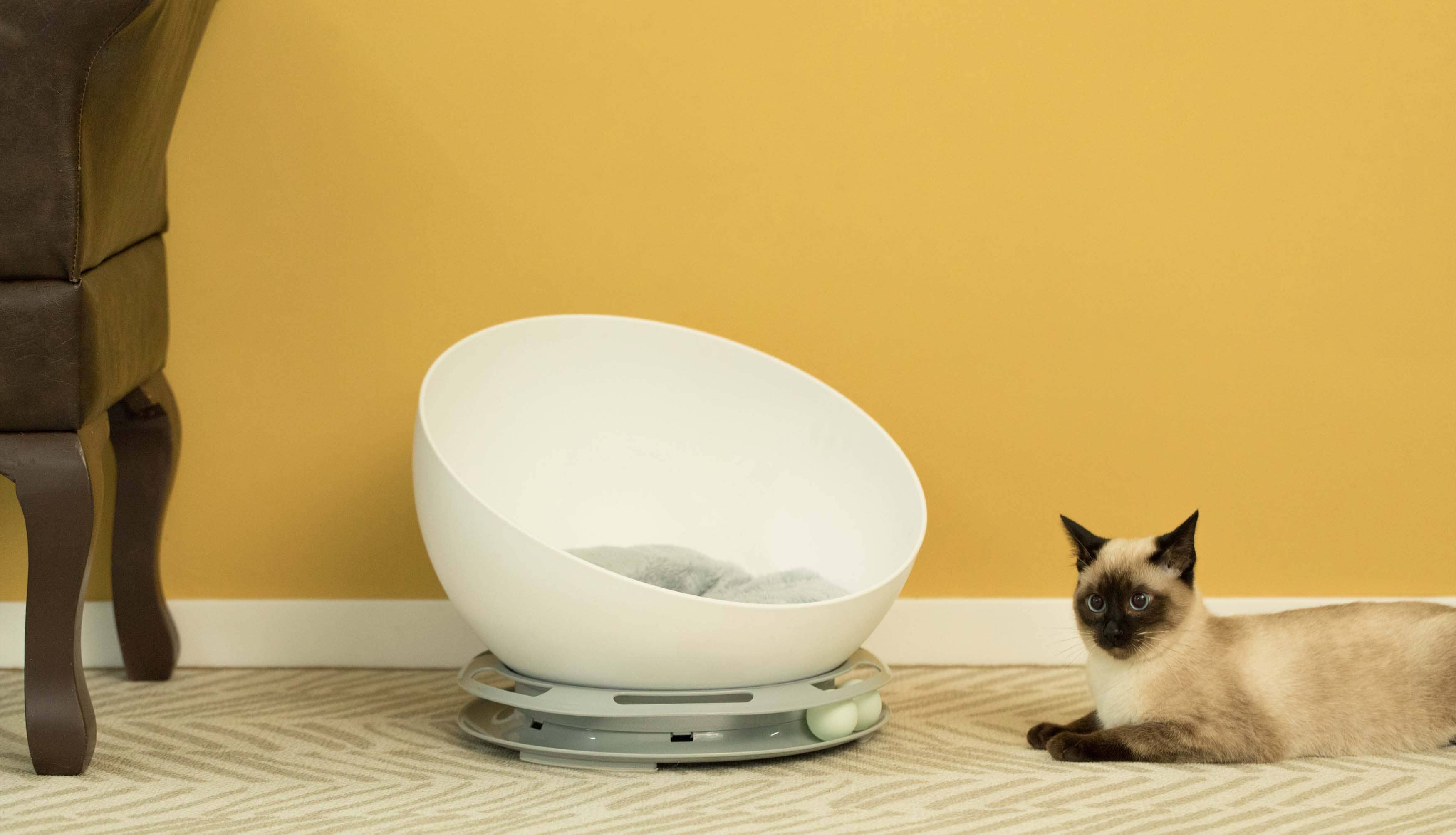 Quickway Imports - Wholesale Pet Bed - Cat/Dog - Plastic Bowl Shaped Sleeping Bed House Cat Cave Lounge12