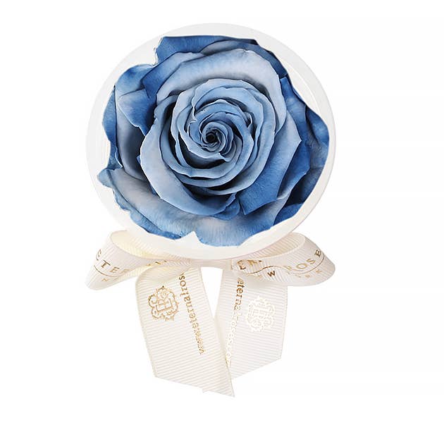 Eternal Roses® - Wholesale Party Favor - Eternal Rose Party Favors28