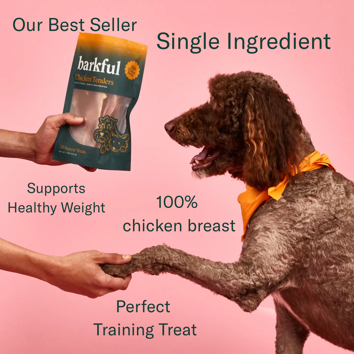 Barkful - Wholesale Pet treats – Dog - Chicken Tender Dog Treats (4 oz Bag)- SINGLE INGREDIENT 2