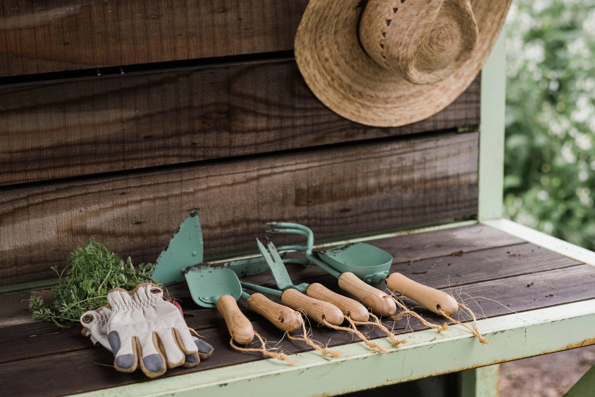 Barebones - Wholesale Garden Tool - Dandelion Weeding Fork7