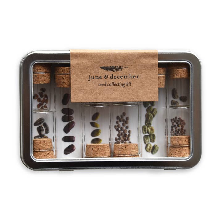 Kit per raccolta semi per la vendita all'ingrosso da parte di June & December