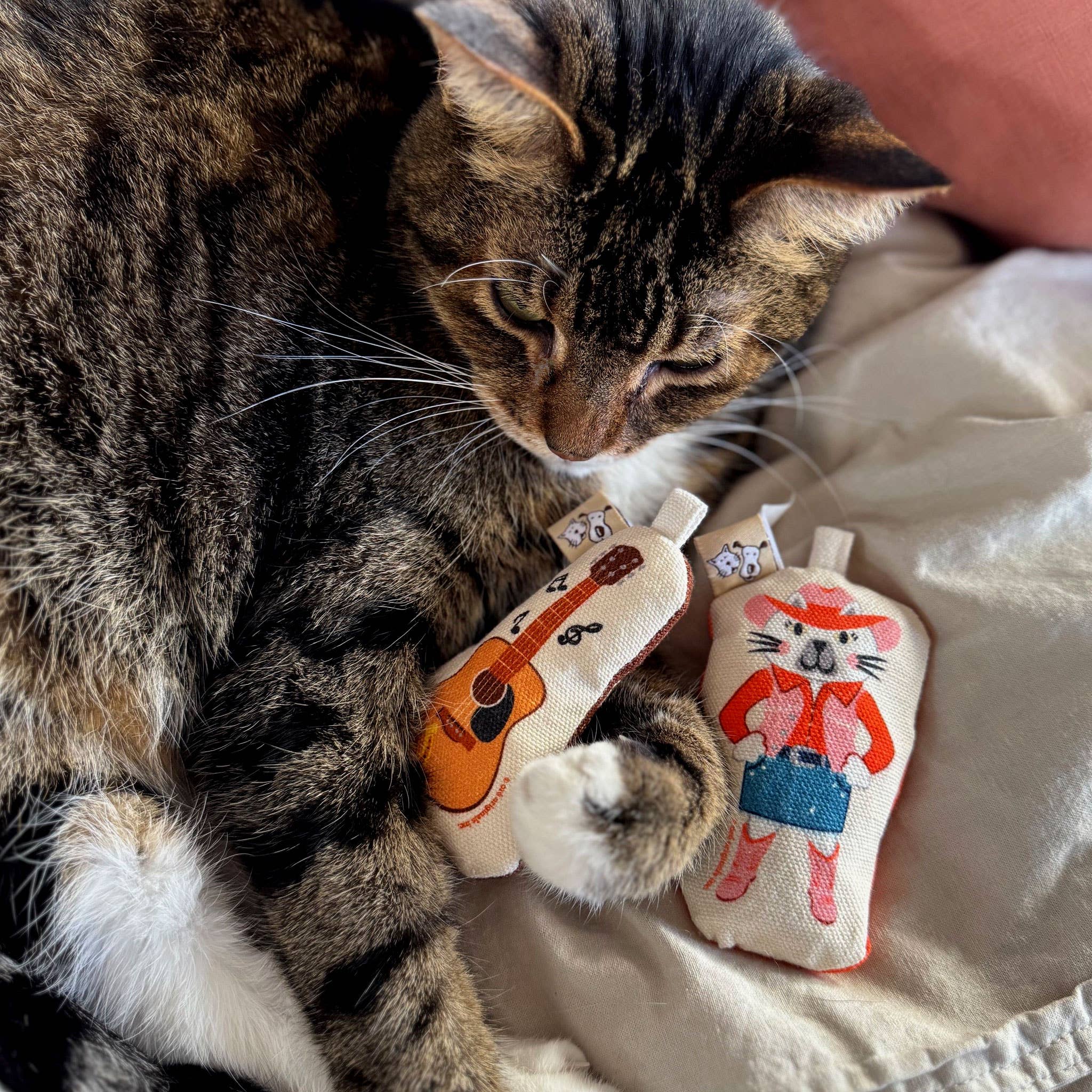 Speckle and Spot by Ore’ Originals - Wholesale Pet Toy Set - Cat - Go Kitty Go Cat Toy Set | Country Music Kitty5