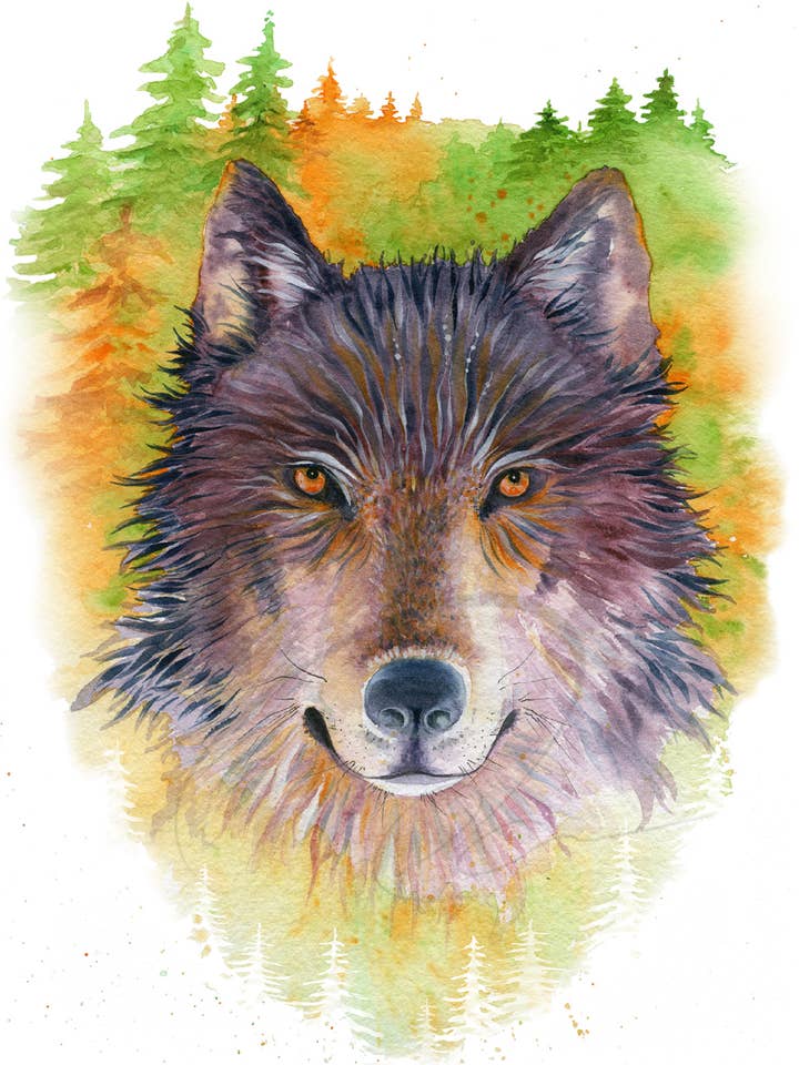 Impresión de Arte en Acuarela - Intrépido - Lobo del Bosque para venta al por mayor de Oladesign