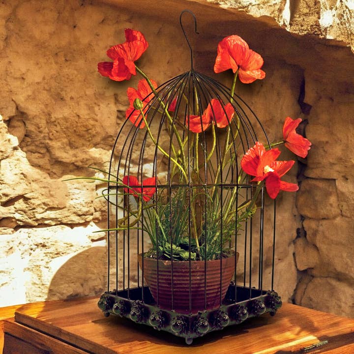 Wilco Home - Wholesale Bird house - Desert Rose Design Bird Cage With Hook/Removeable Tray7