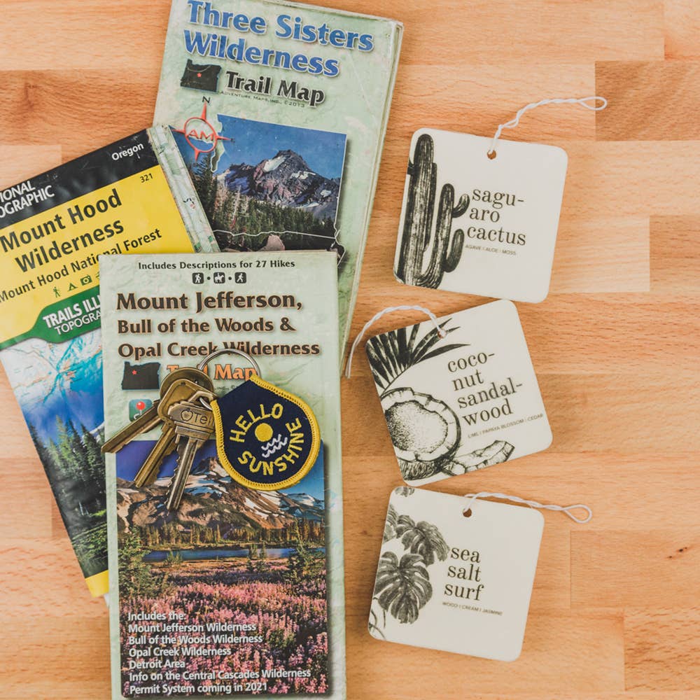 Broken Top Brands - Wholesale Car Freshener - Unisex - Saguaro Cactus Car Freshener6