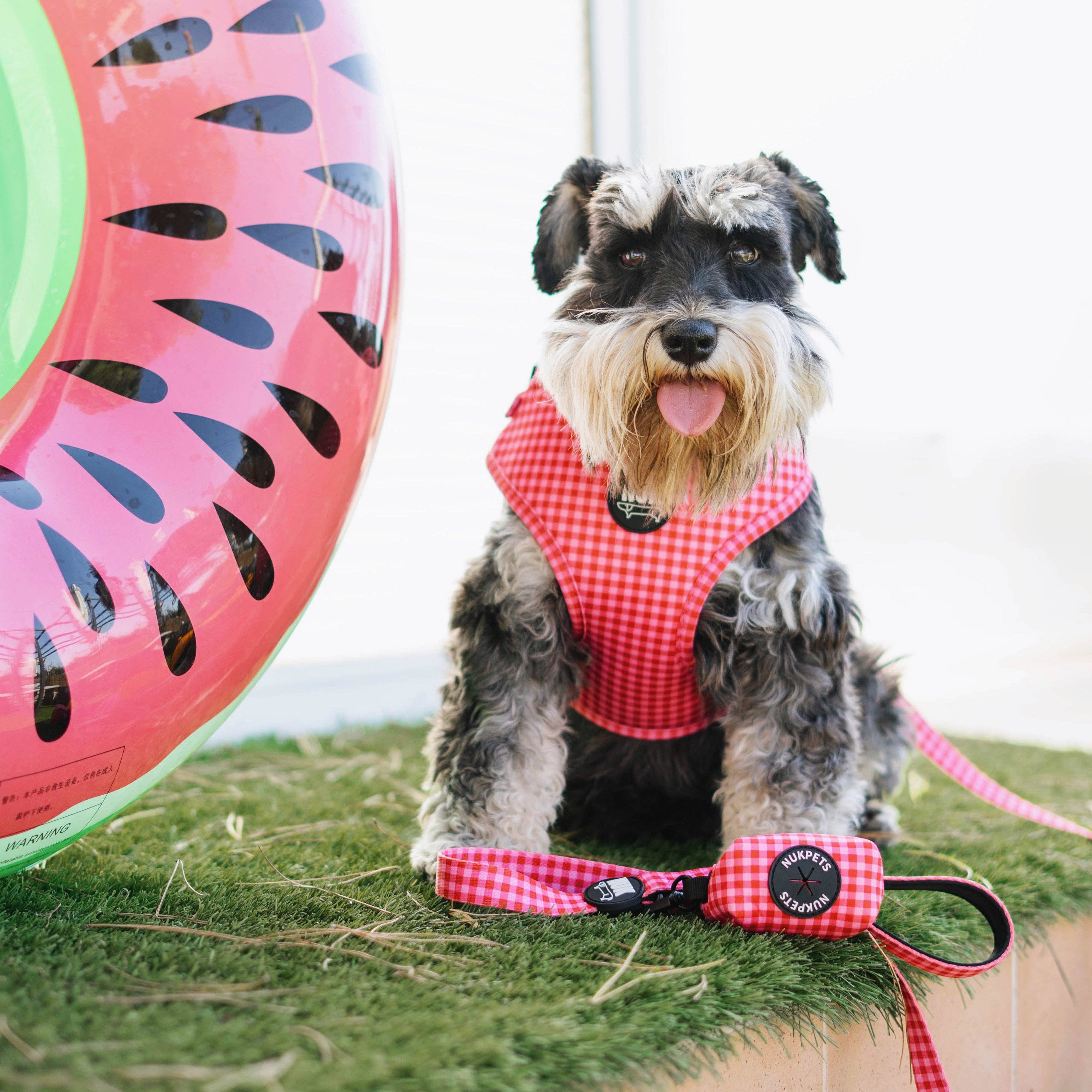 Nuk Pets - Wholesale Pet Harness - Dog - Cherry Pie Dog Harness – Adjustable and Durable2