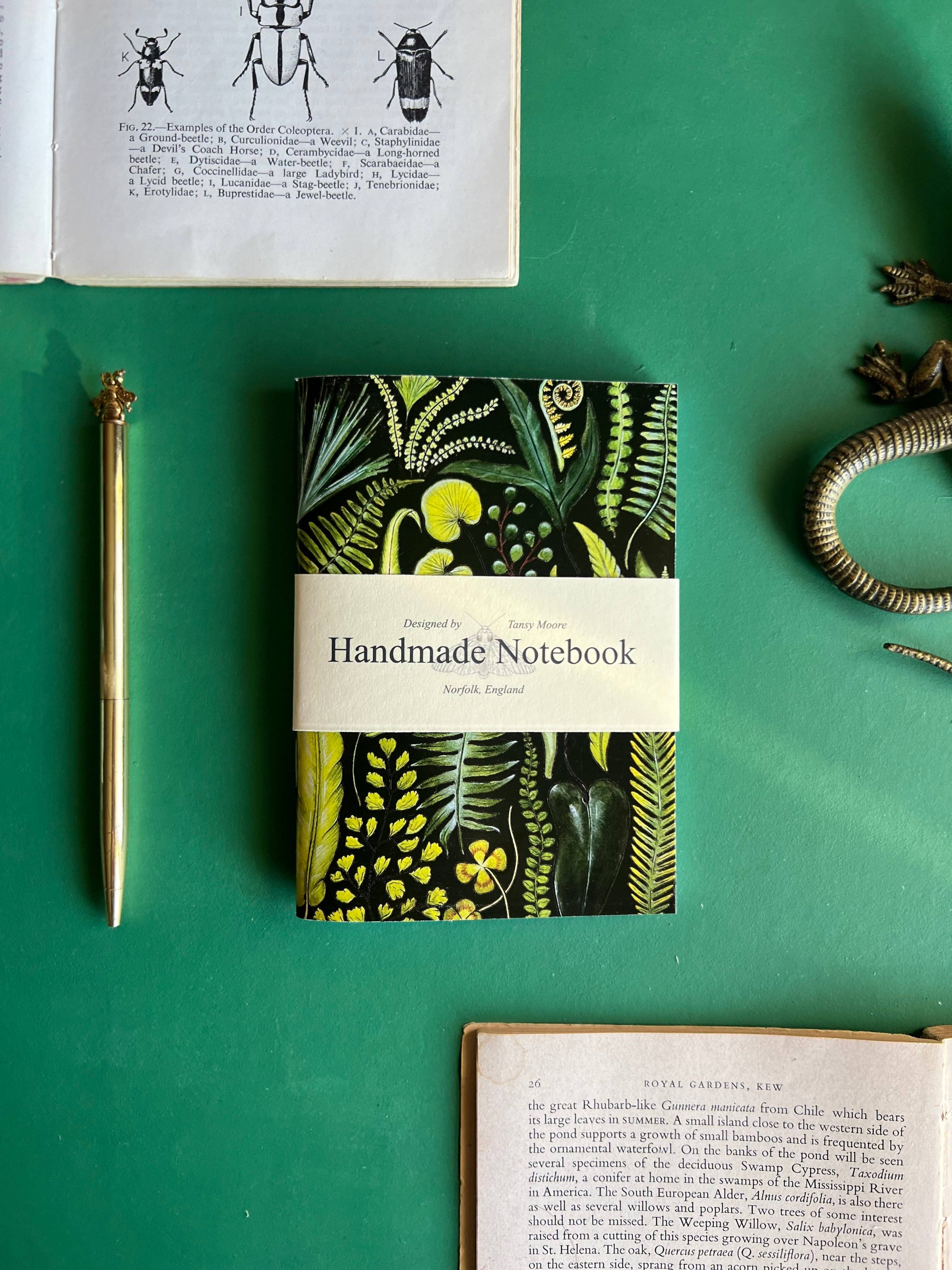 Tansy Moore - Vente Cahiers - Ensemble de carnets de poche Plantes3