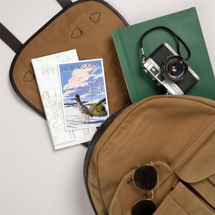 Lantern Press - Vente Cartes postales - CARTES POSTALES PREMIUM Nouveau-Mexique, scène Roadrunner5