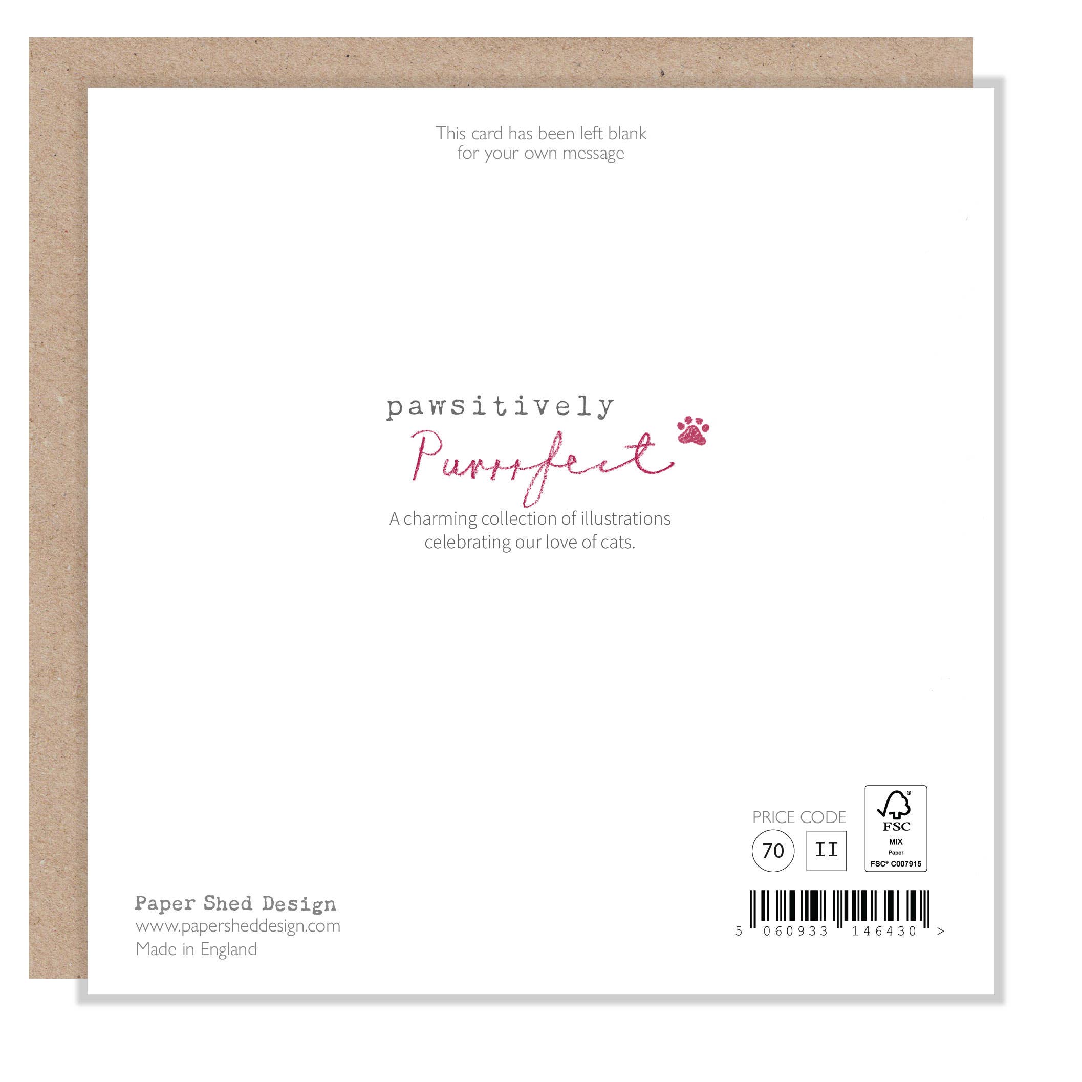 Paper Shed Design Ltd – Engroshandel Hverdagshilsen kort – Sød kat kort - kat under blomstre træ1