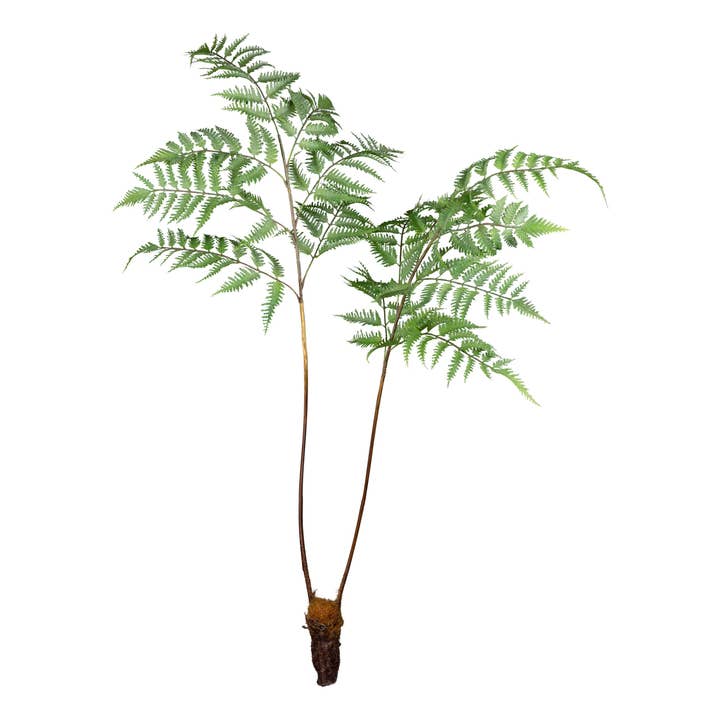 Dryopteris, 105cm, verde por atacado de GASPER GmbH