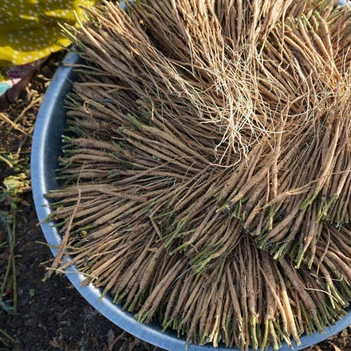 Pure Indian Foods - Wholesale Protein/Superfood Powder - Ashwagandha Root Powder, Certified Organic - 8 oz1