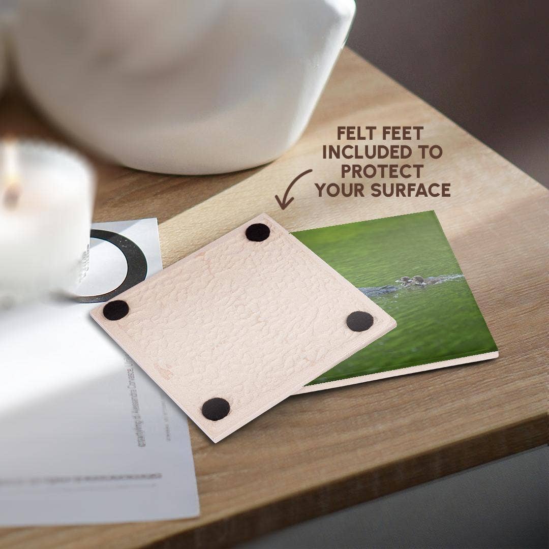 3dRose - Wholesale Onderzetters - 3dRose, Cassels Lake. IJsduiker met kuikens, Onderzetter3