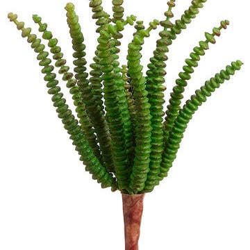 Artificial Worm Succulent Pick (36 pcs) for wholesale by JENNY SILKS