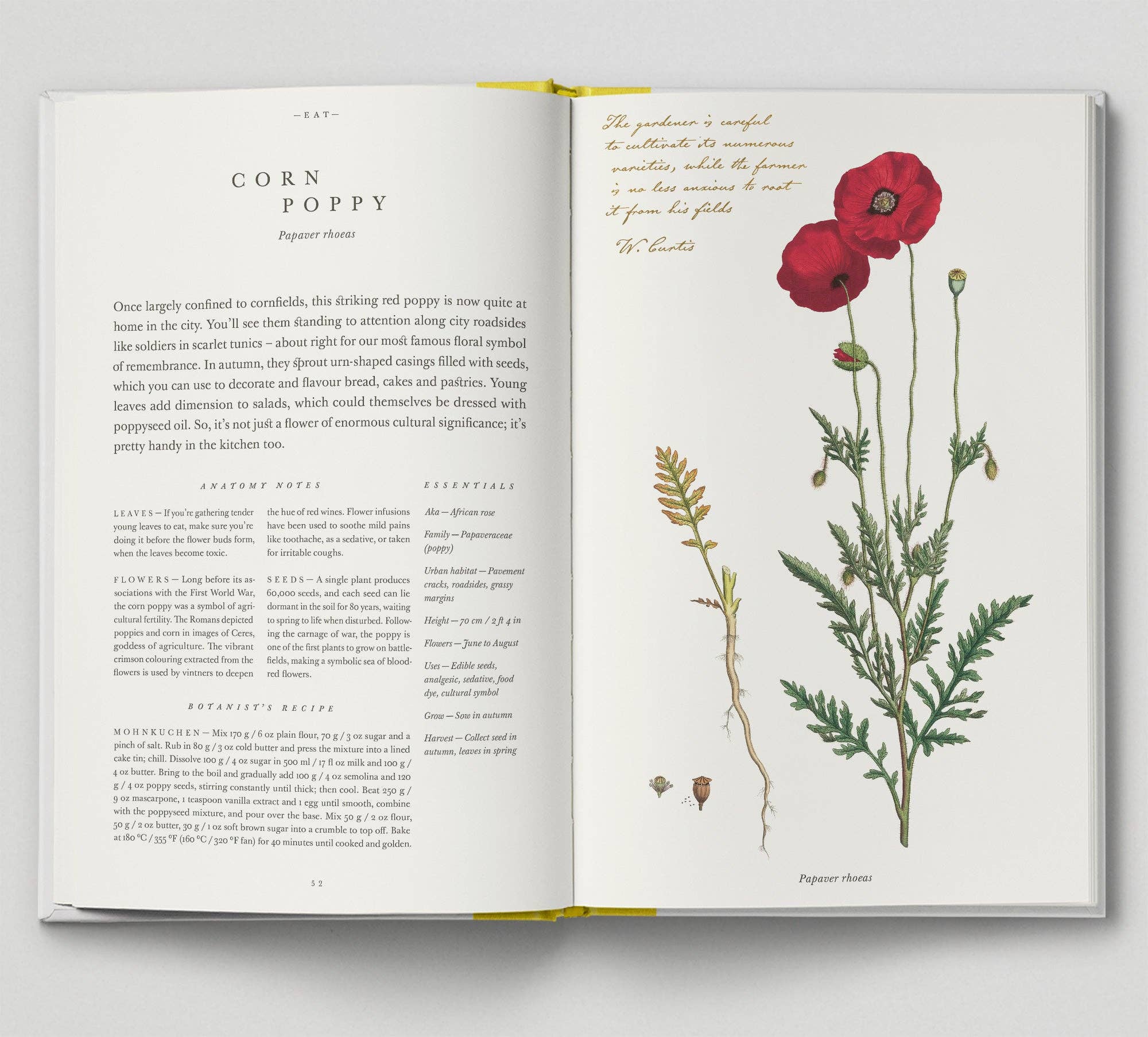 Hoxton Mini Press - Vente Livre sur la nature et les activités de plein air - The Botanical City3