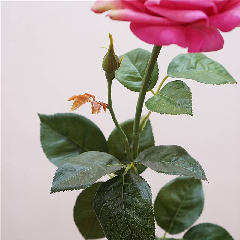 Angel Isabella - Wholesale Artificial flowers - 27"-Lux Faux Juliet Rose-Moisturizing Finish-5"Bloom9