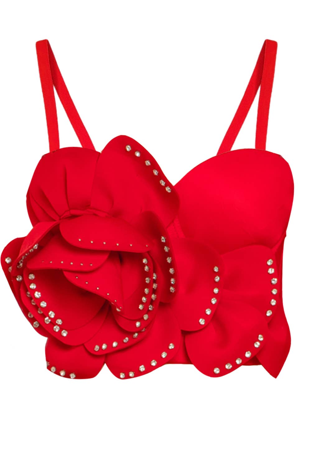 NEWGENS - Wholesale Corset - Women's - NT1113A 3D Floral Bustier Crop Top1