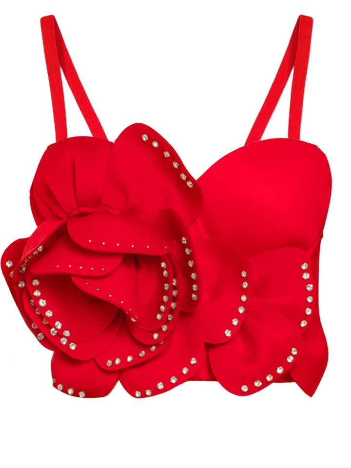 NEWGENS - Wholesale Corset - Women's - NT1113A 3D Floral Bustier Crop Top1