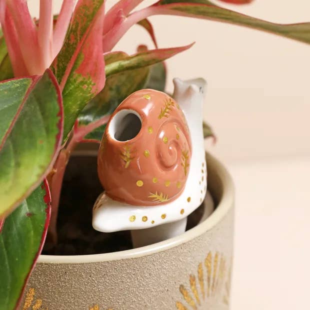 Lisa Angel – wholesale Watering can – Snail Plant Waterer1