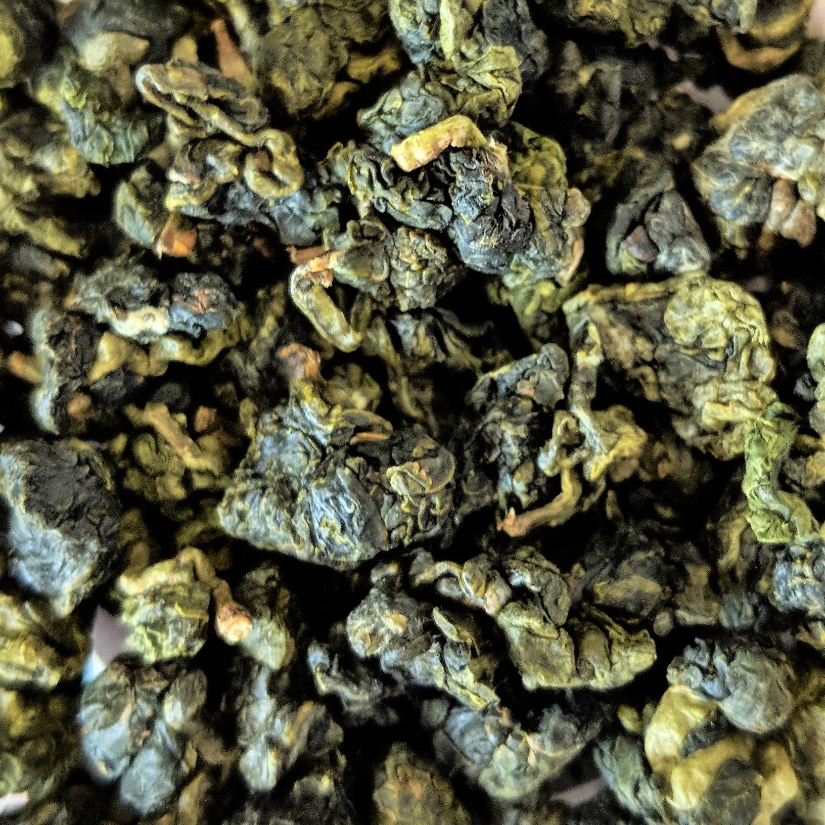 Cultivate Taste Tea - Wholesale Loose Tea - Milk Oolong2