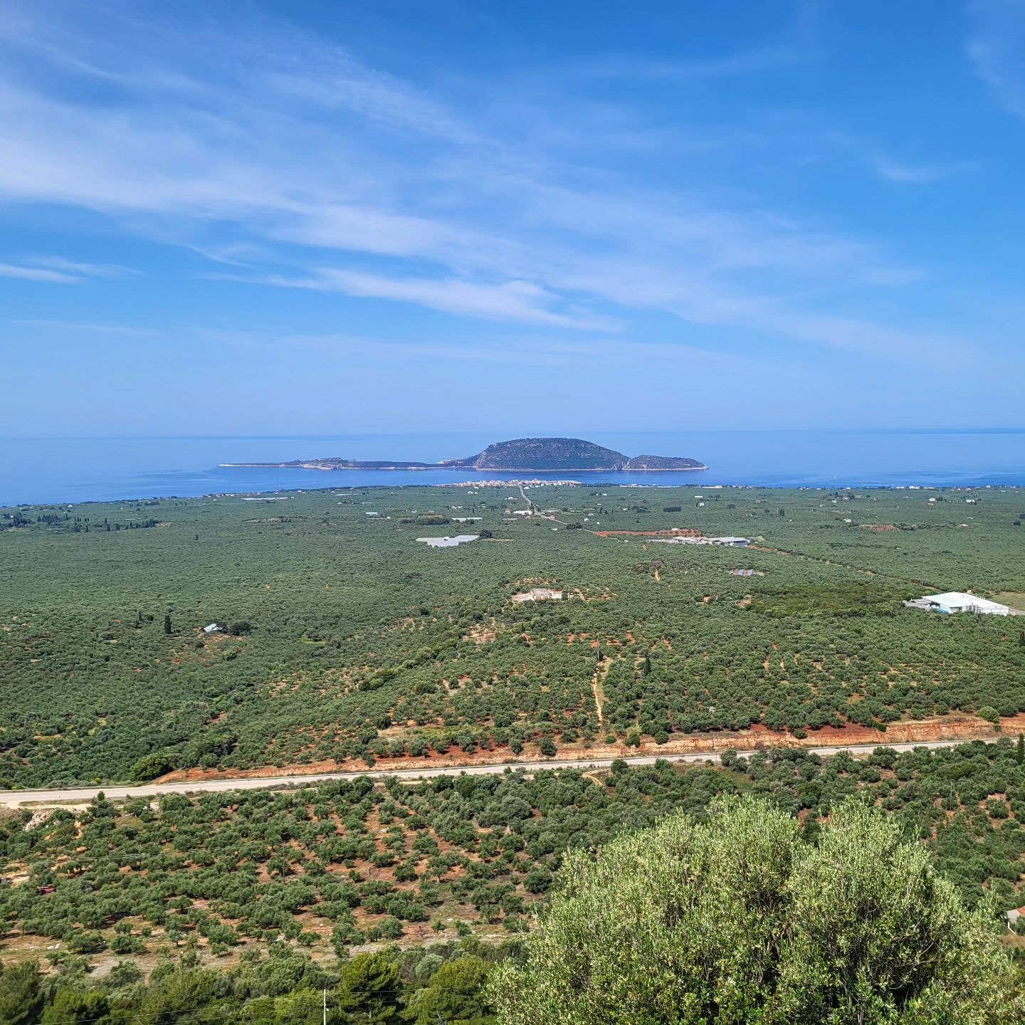 Ariston Specialties - Vente Huile d'olive - Rechargez des bouteilles de marasca VIDES pour certains EVOO 16,9 fl oz9