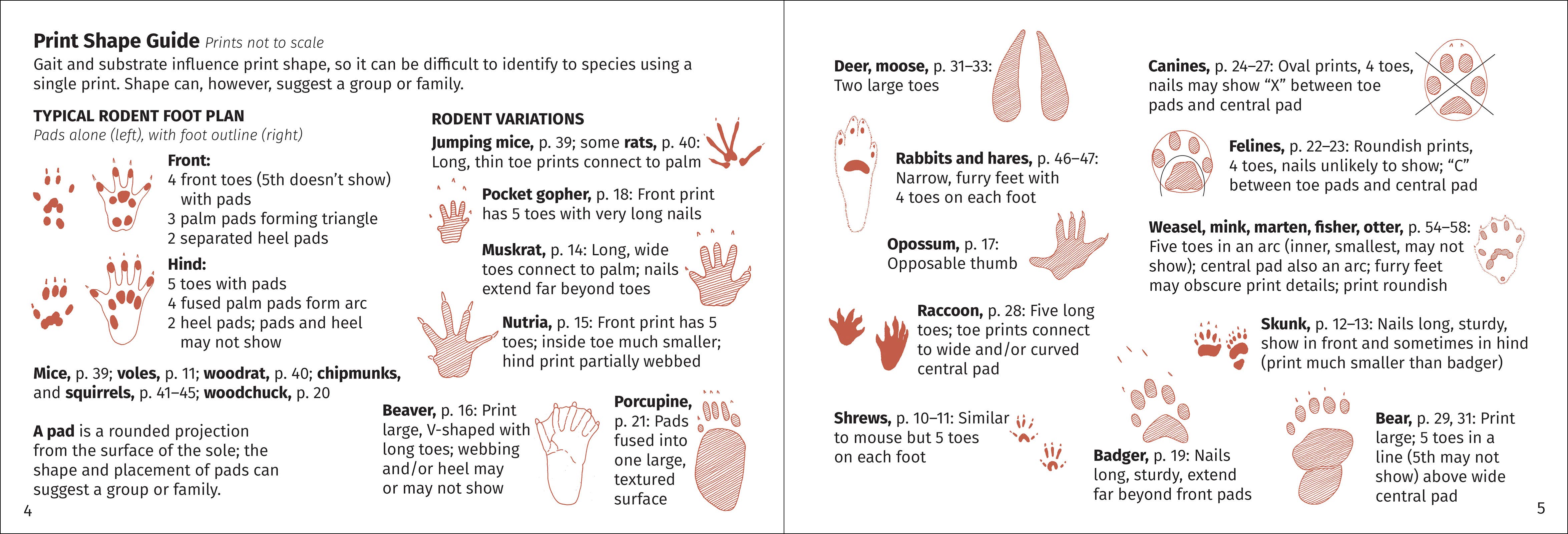 AdventureKEEN - Wholesale Nature & Outdoors - Track Finder 3e2