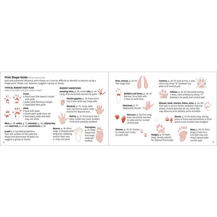 AdventureKEEN - Wholesale Nature & Outdoors - Track Finder 3e2
