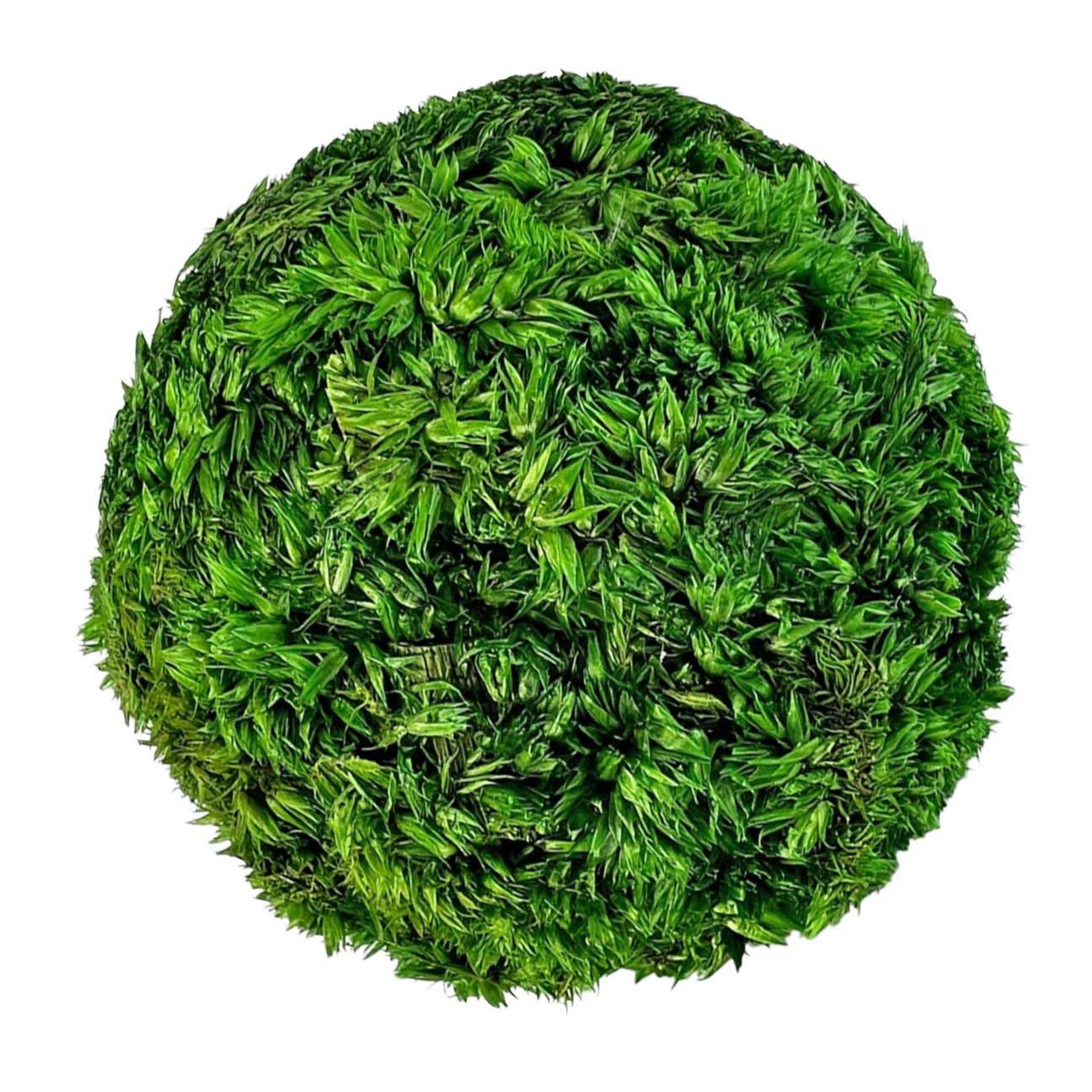2626 Designs – wholesale Artificial plant – Box of 3 Preserved Cockscomb Topiary Balls Bowl Filler2