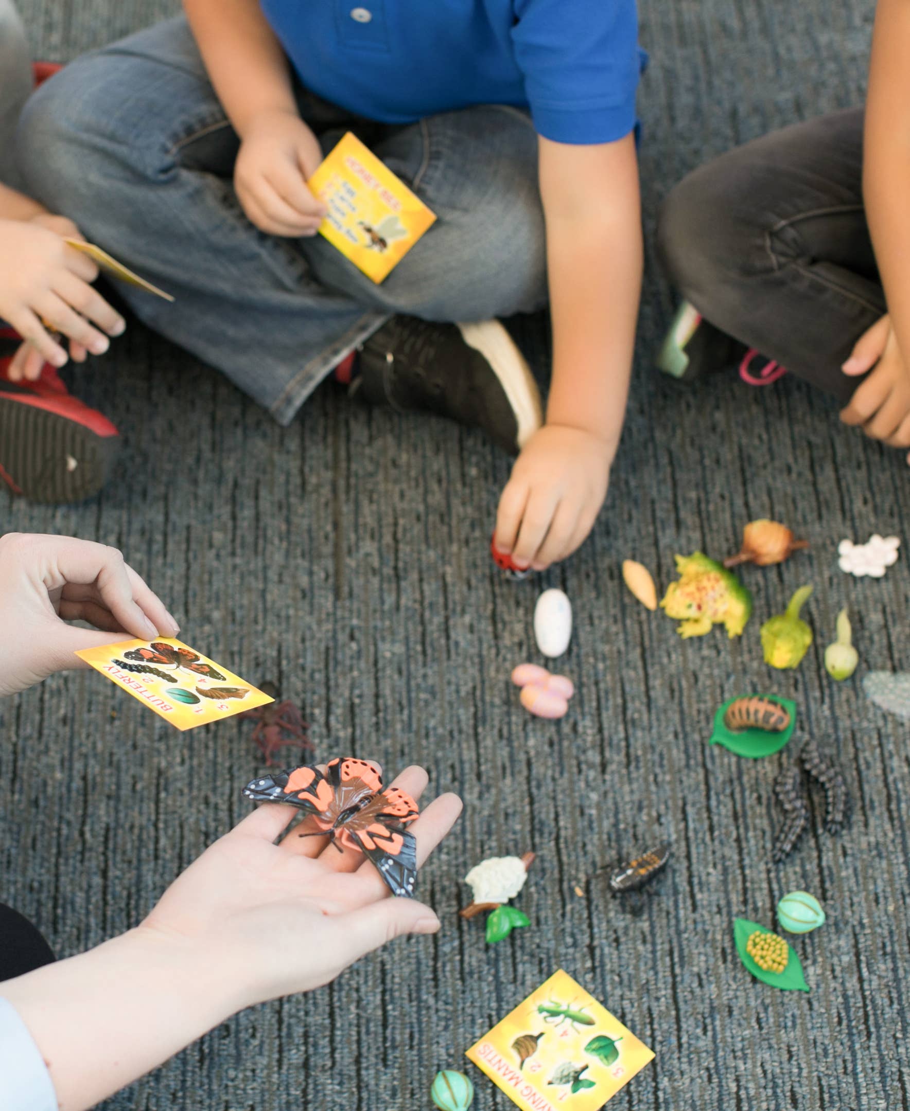 INSECT LORE - Vente Figurine – enfant - Figurines du cycle de vie - Ensemble de 24 pièces11