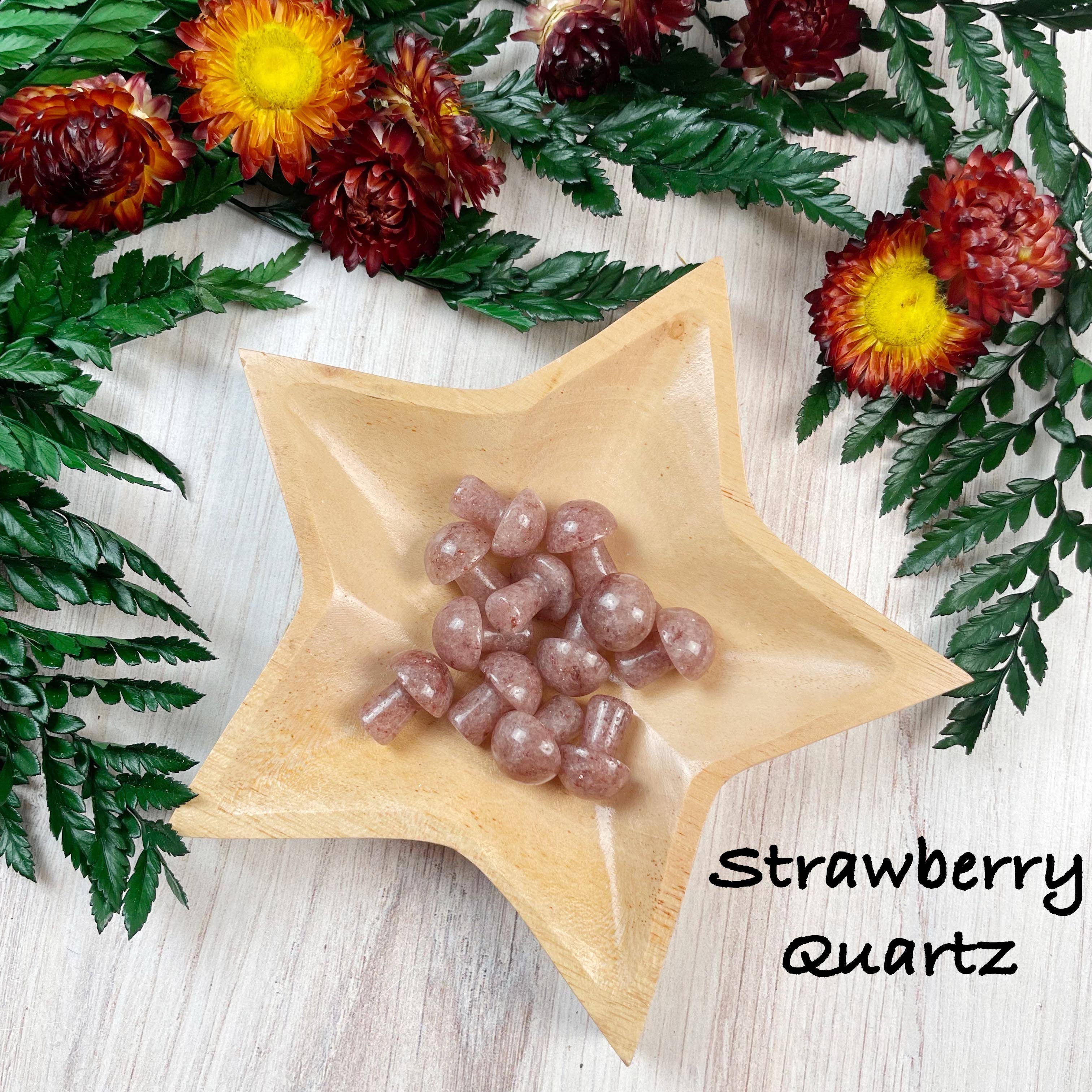 Ewelina Pas Jewelry - Wholesale Spiritual Stone/Crystal - MINI Gemstone Mushroom Pocket Stone17