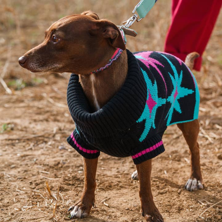 Hiro + Wolf – wholesale Pet jumper – Dog – 'Starry Night' Dog Jumper1