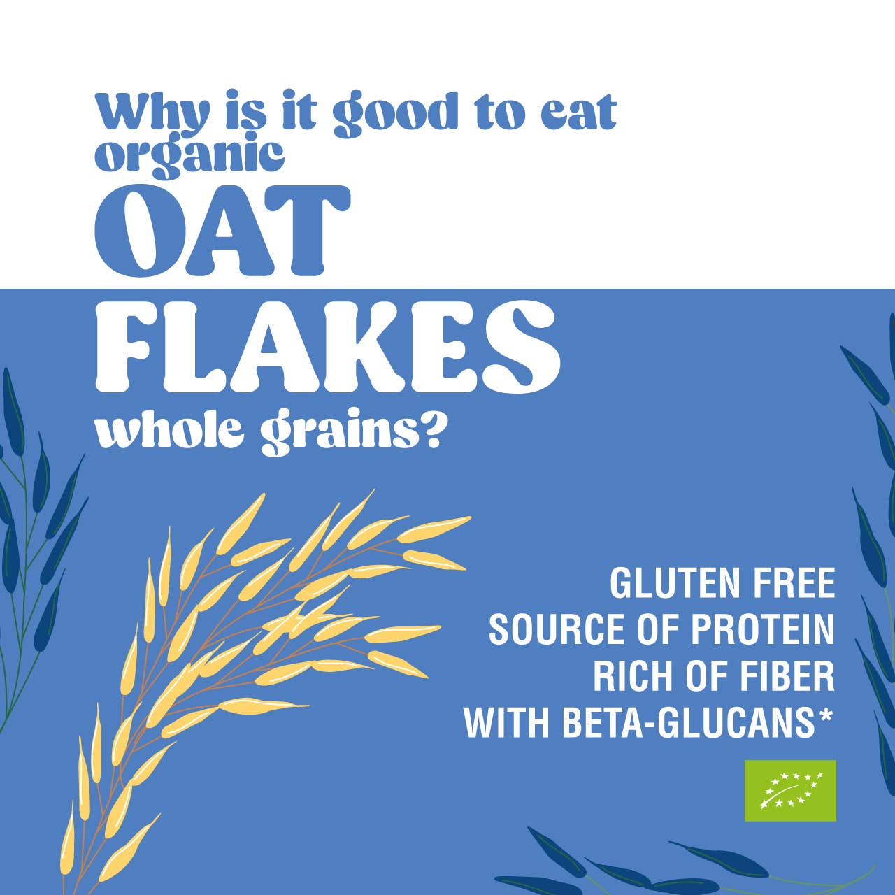 Stella Foods s.r.l. - Wholesale Oats - STELLA Organic Gluten-Free Large Oat Flakes 400g7