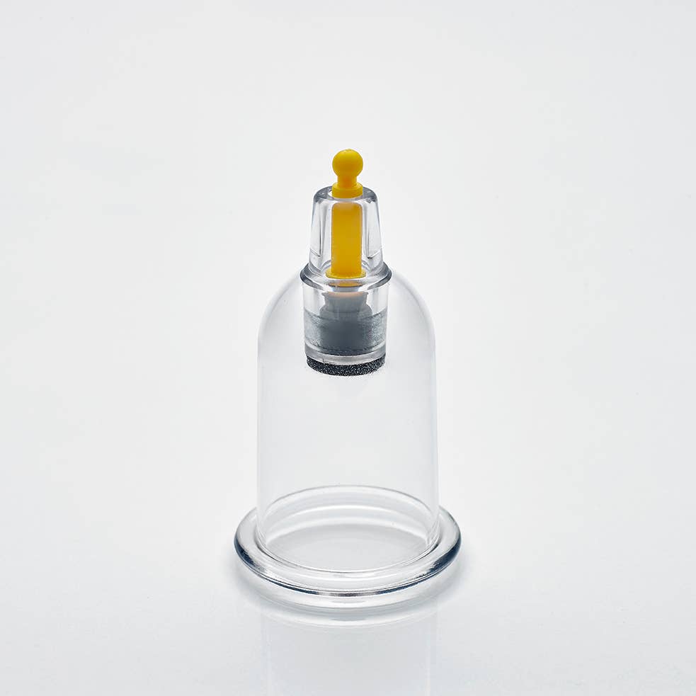 Nature’s Blends - Vente Verre/tasse - 500 ventouses de qualité supérieure - tailles mixtes de B1 à B67