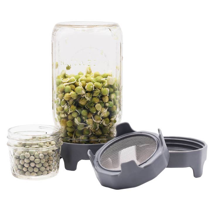 Mason Jar Lifestyle - Wholesale Food Storage Container - Rust Proof Sprouting Lid with Built-In Stand for Wide Mouth
