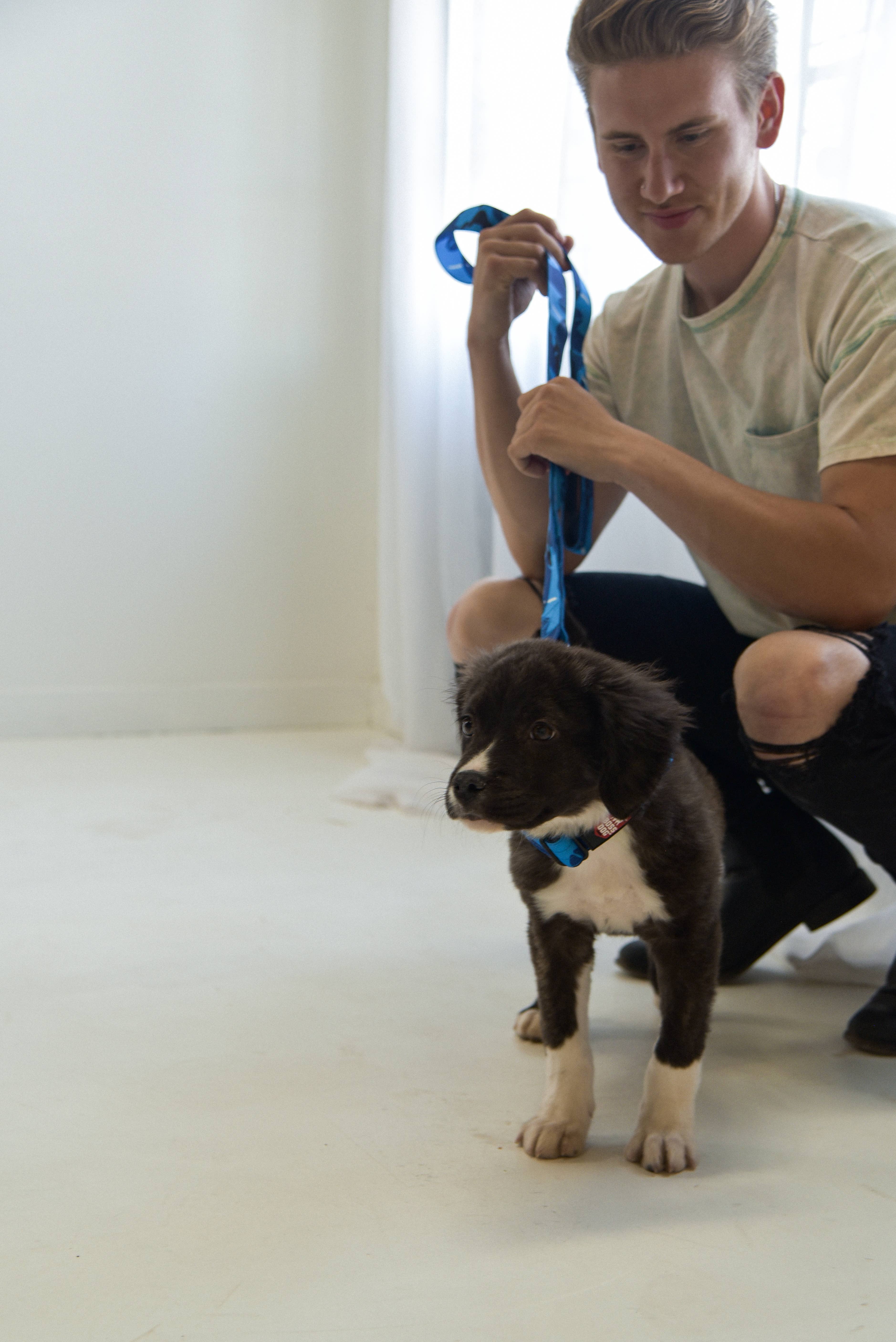 BOSS DOG BRAND, INC. - Wholesale Pet Leash - Dog - Boss Dog 4FT Unbreakable Leash9