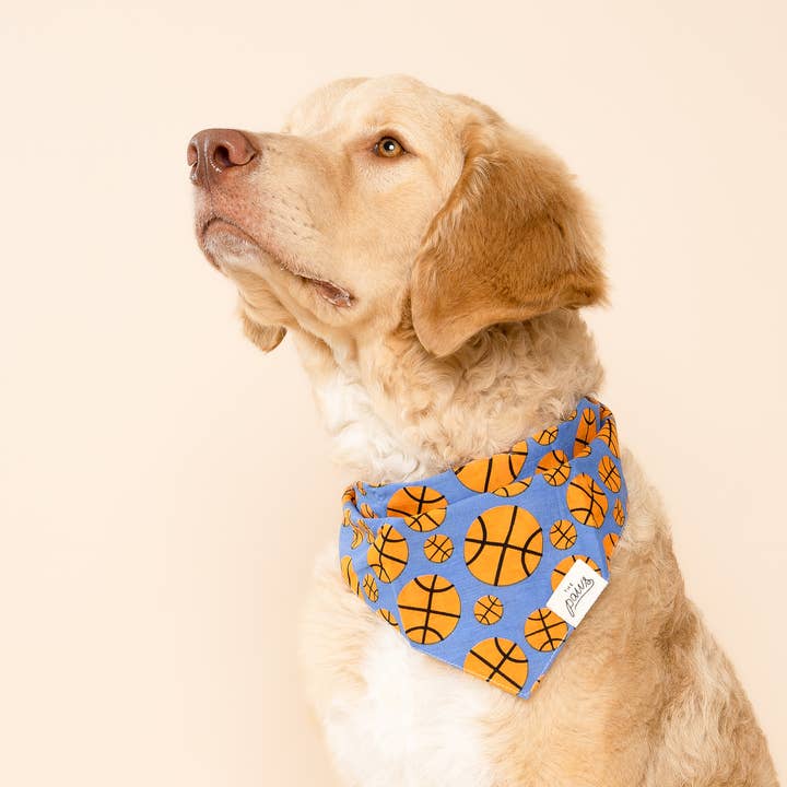 The Paws - Vente Bandana – chien - Bandana pour chien Dunk (Basketball)