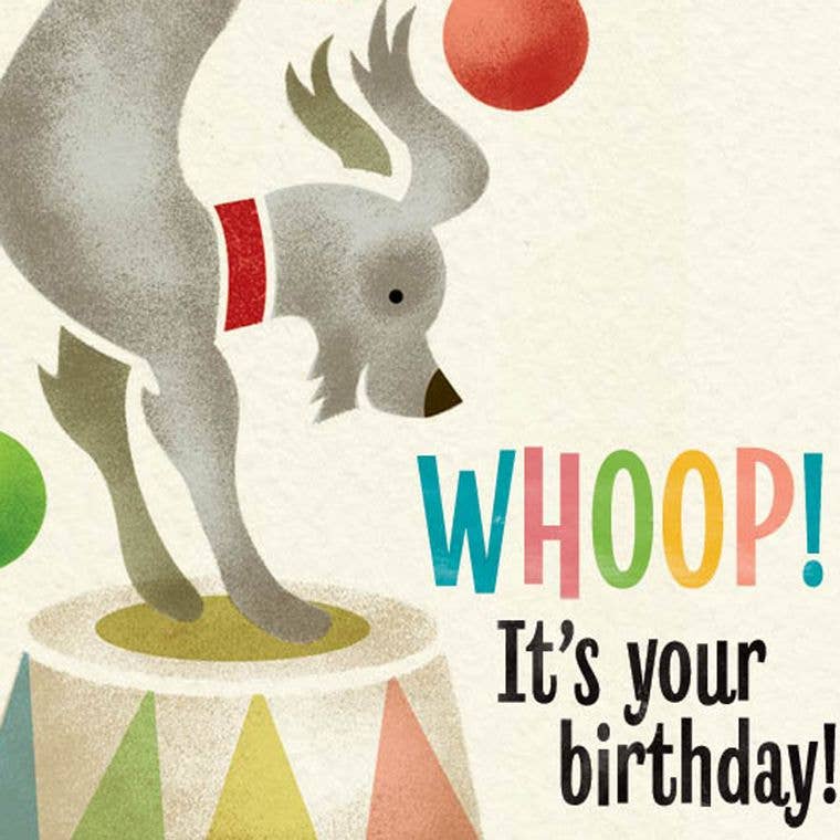 Pennychoo – wholesale Birthday card – Big Top: Juggling Dog Birthday Card1