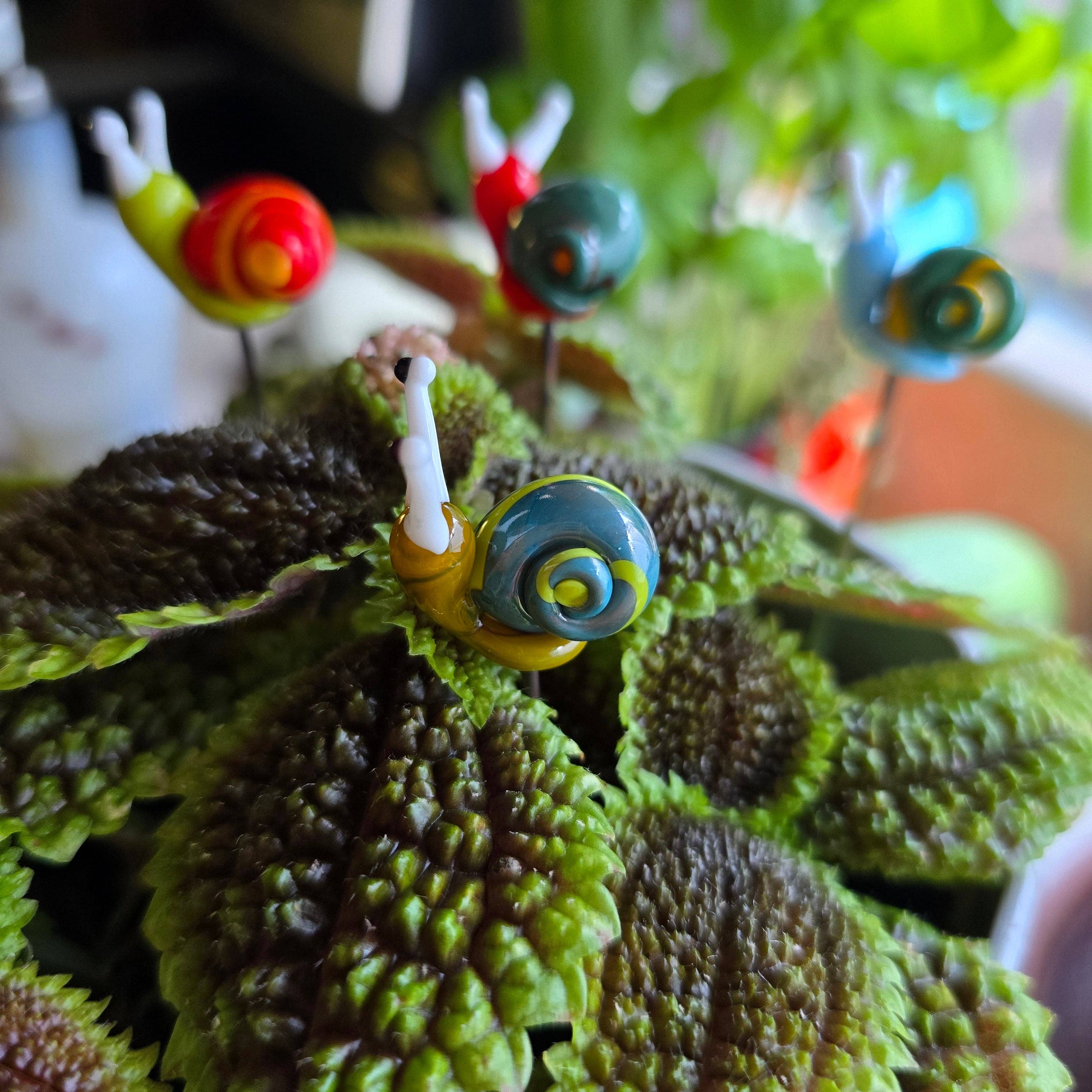Sunshine Glass Gifts - Wholesale Garden/Lawn Stake - Snail Plant Pals, House plant and Fairy Garden Decor4