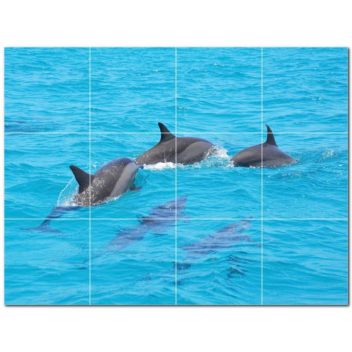 Dolphin Keramiska plattor Keramiska plattor Väggmålning PT500499 för wholesale av Picture-Tiles.com