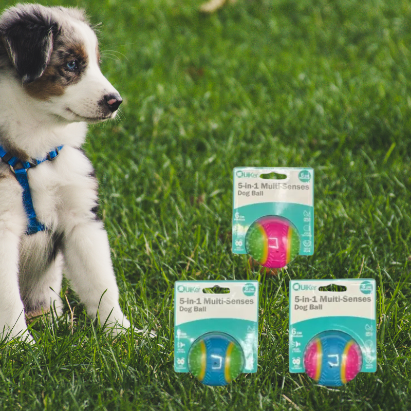 Quiker Pet Products - Wholesale Pet Toy - Dog - 5-in-1 Multi-Senses Dog Toy Ball 8cm - 6 Pack Inner4