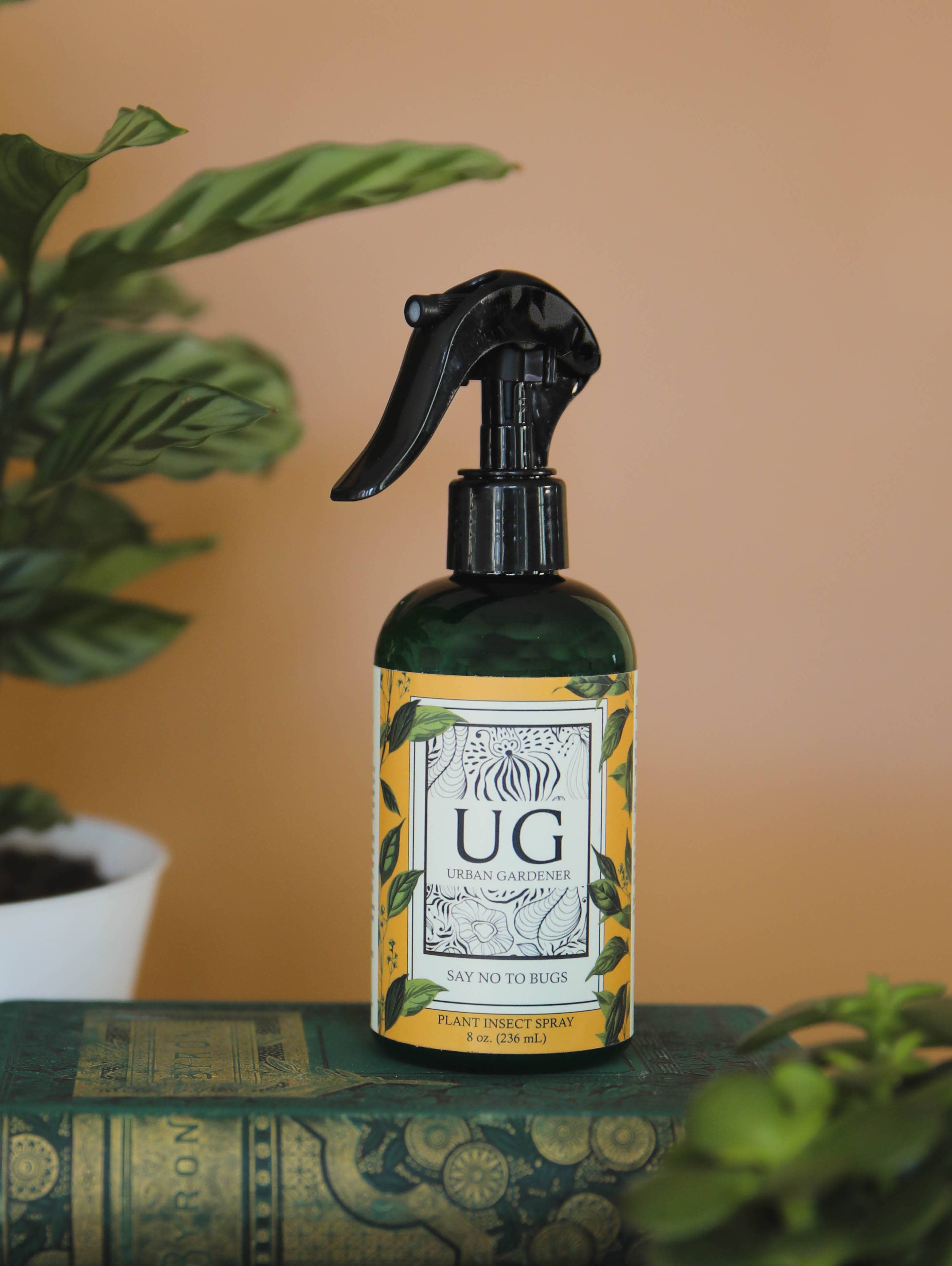 Urban Gardener - Wholesale Fertilizer - Say No To Bugs - Natural Houseplant Insect Treatment5